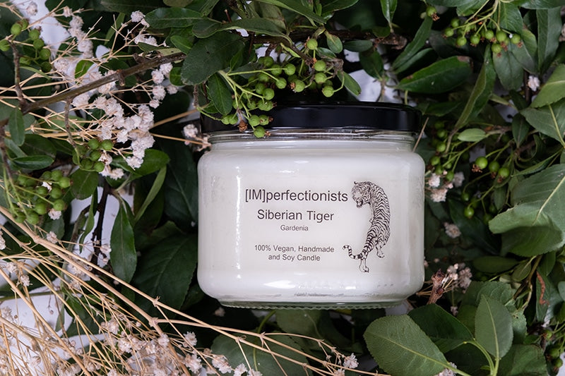 Gardenia Scented Candle - Siberian Tiger Candle Melts into Hand Cream