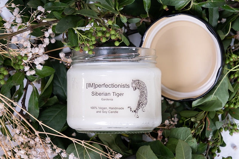 Gardenia Scented Candle - Siberian Tiger Candle Melts into Hand Cream